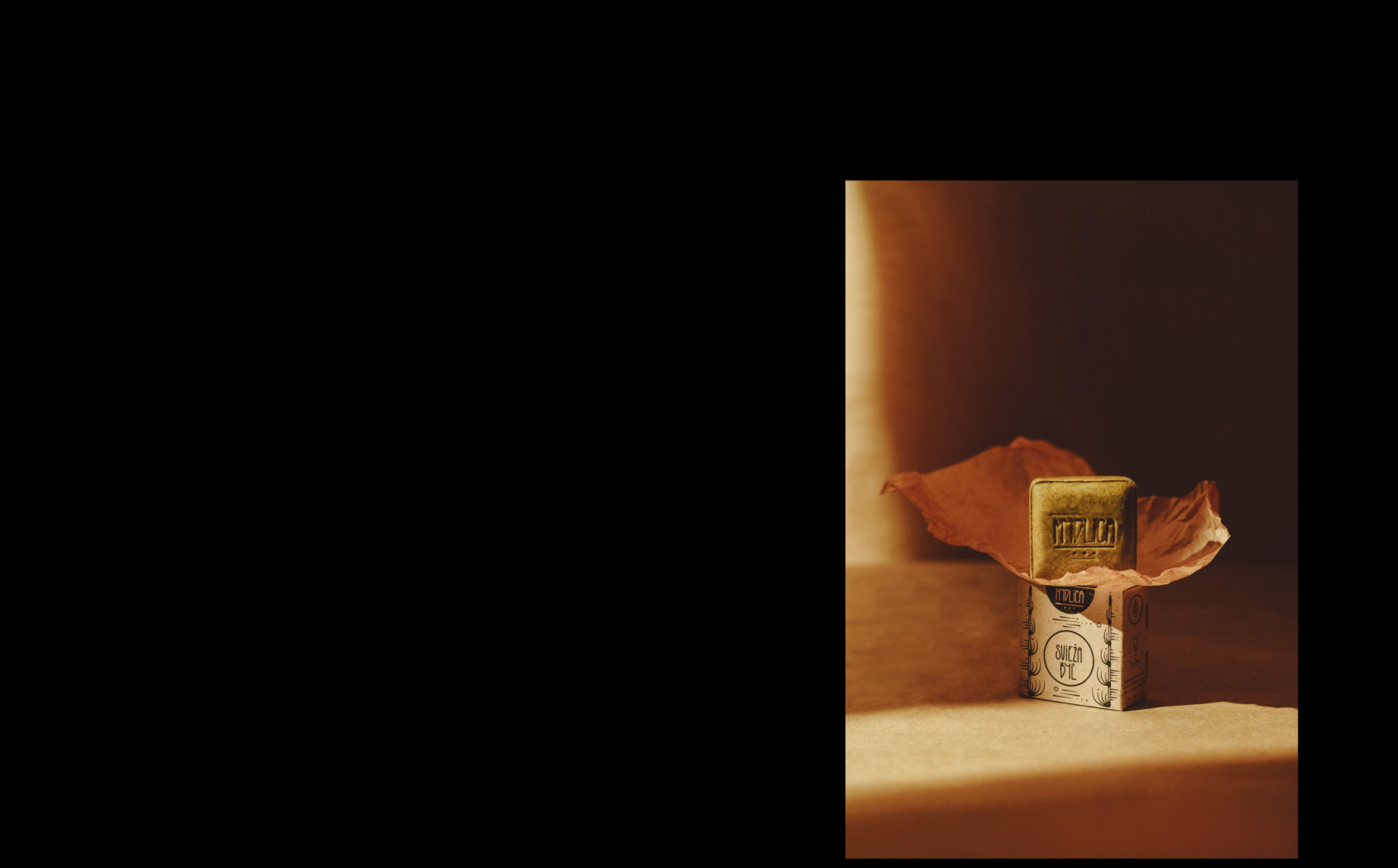 Reels and Autoplay Stop